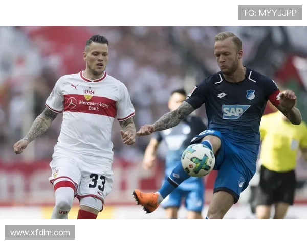 [德甲]第26轮：霍芬海姆0-3斯图加特 集锦.